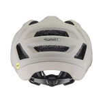 ADAPT MIPS - 10